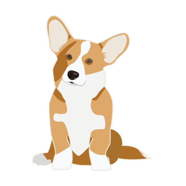 Vector Corgi